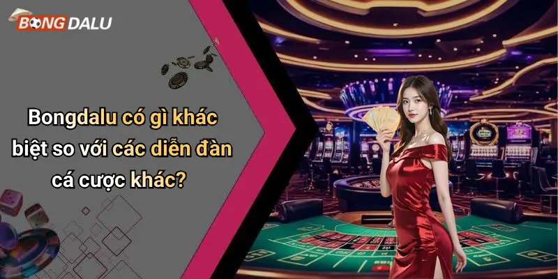 Bongdalu có gì khác biệt so với các diễn đàn cá cược khác?