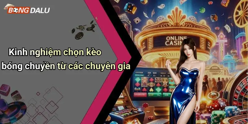 Kinh nghiệm chọn kèo bóng chuyền từ các chuyên gia