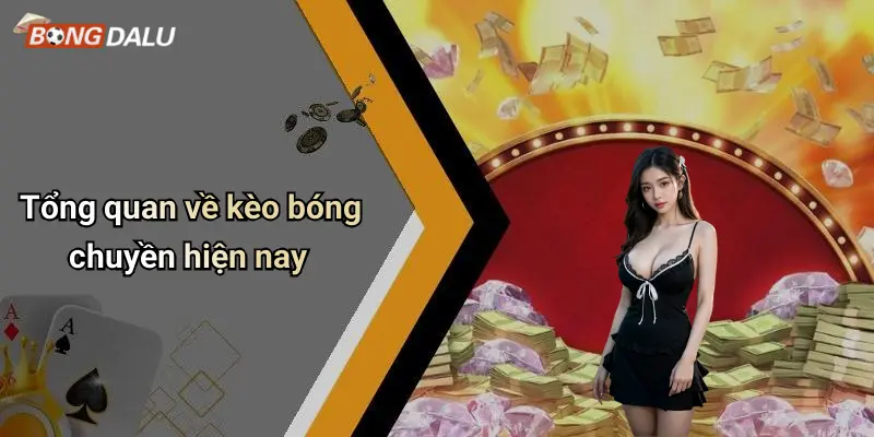Tổng quan về kèo bóng chuyền hiện nay