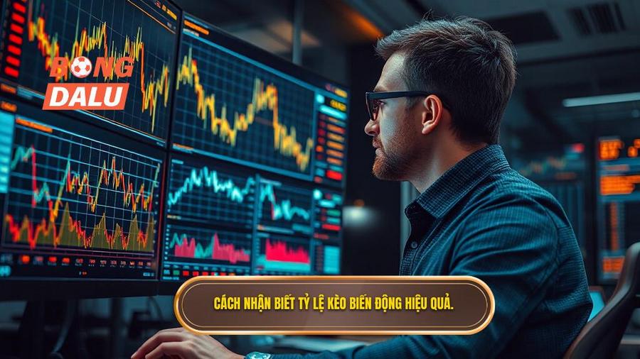 3. Cách nhận biết và theo dõi tỷ lệ kèo biến động hiệu quả