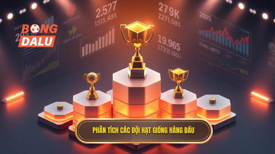 Phân tích các nhóm đội hạt giống hàng đầu